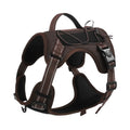 Orange reflective dog vest harness with integrated black hand-holding rope and adjustable straps.